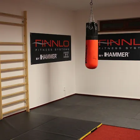 Sileas Lägenhetshotell Vel'ka Lomnica