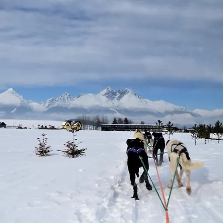 Sileas Апарт-отель Велька-Ломница